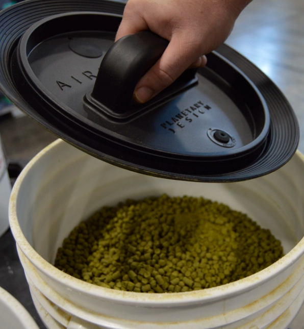 Gamma Bucket View 2